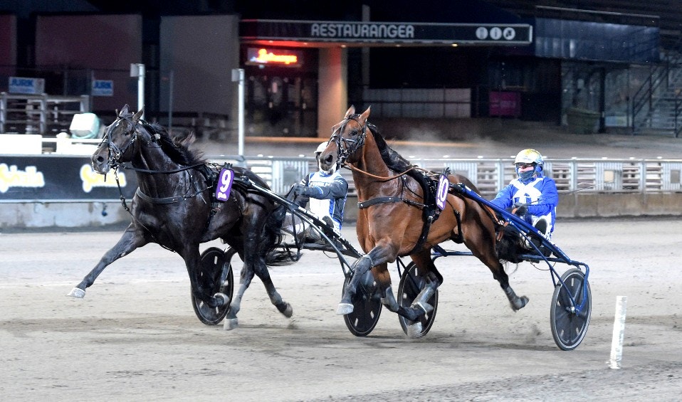 Aetos Kronos och Magnus A Djuse sätter dit en tapper Ecurie D. på linjen i Solvalla Grand Prix. Foto: Leif Norberg, ALN