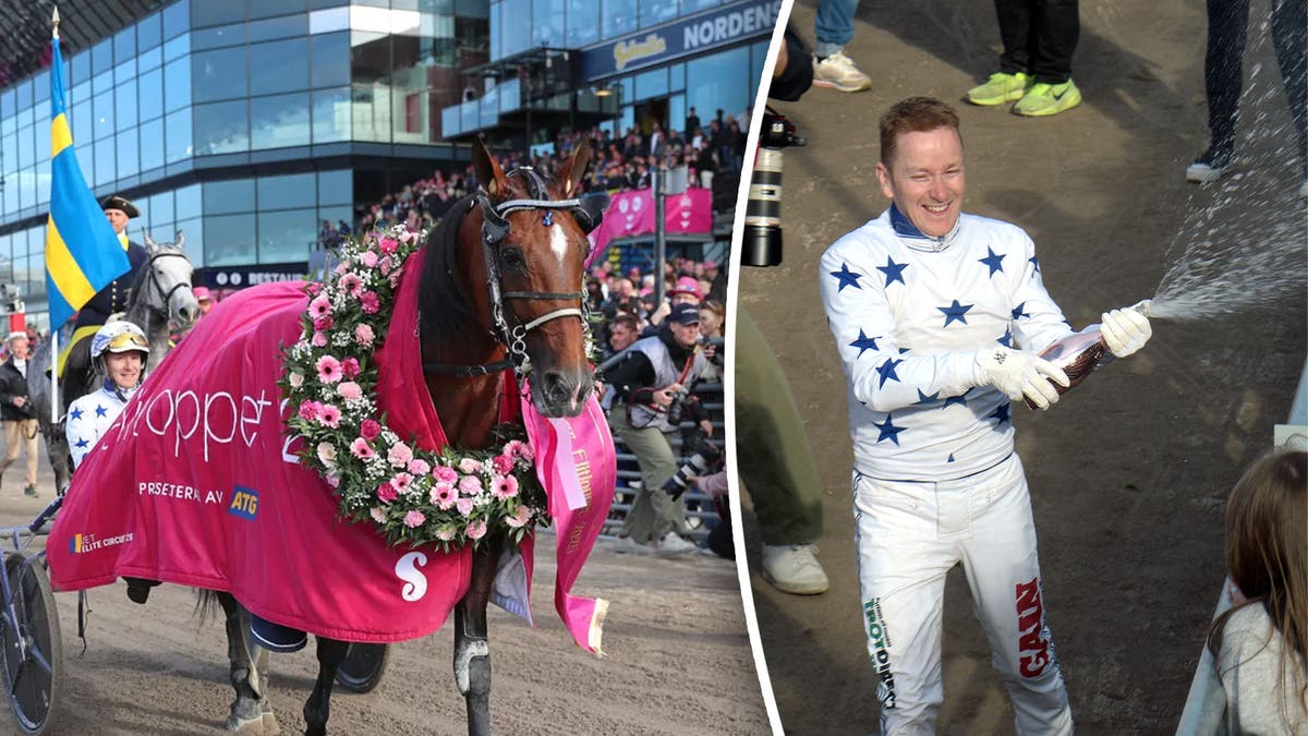 go on boy elitloppet 2025