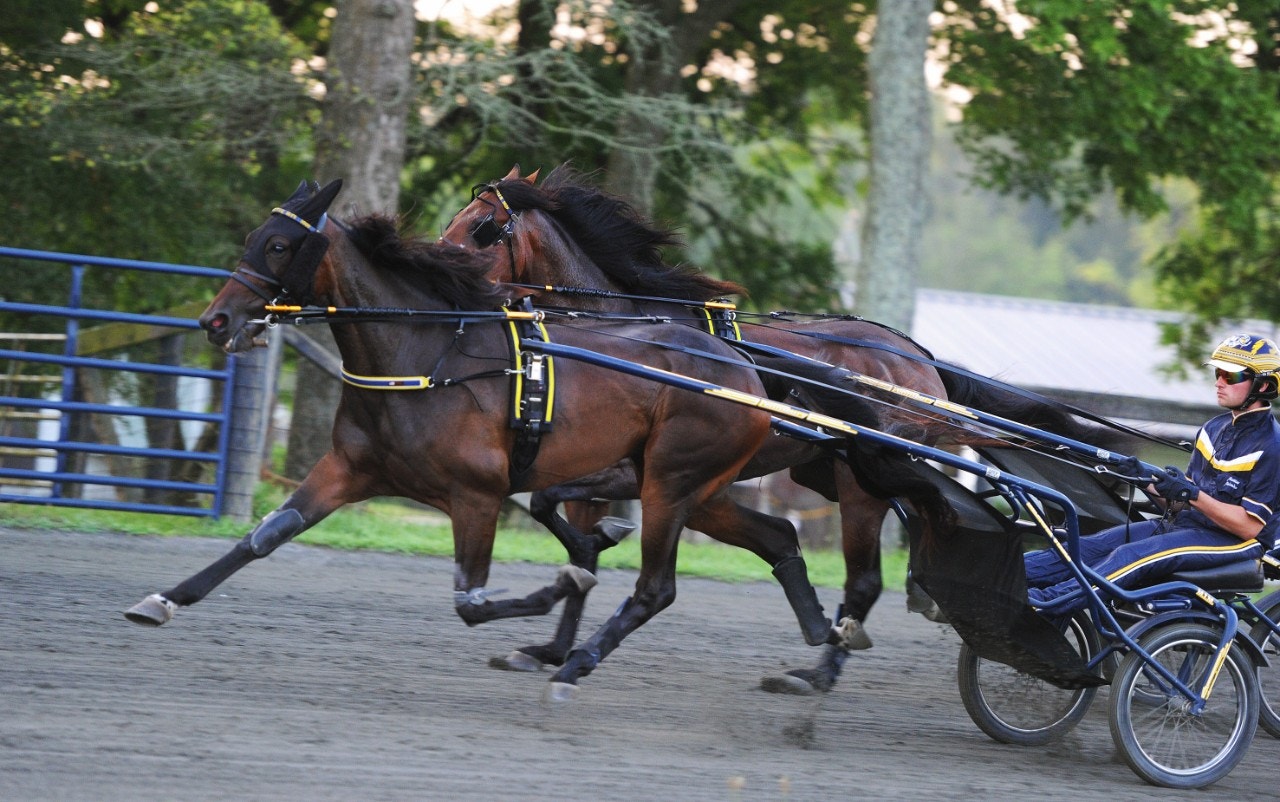 Hypnotic Am travade 1.09,1 - i kvallopp