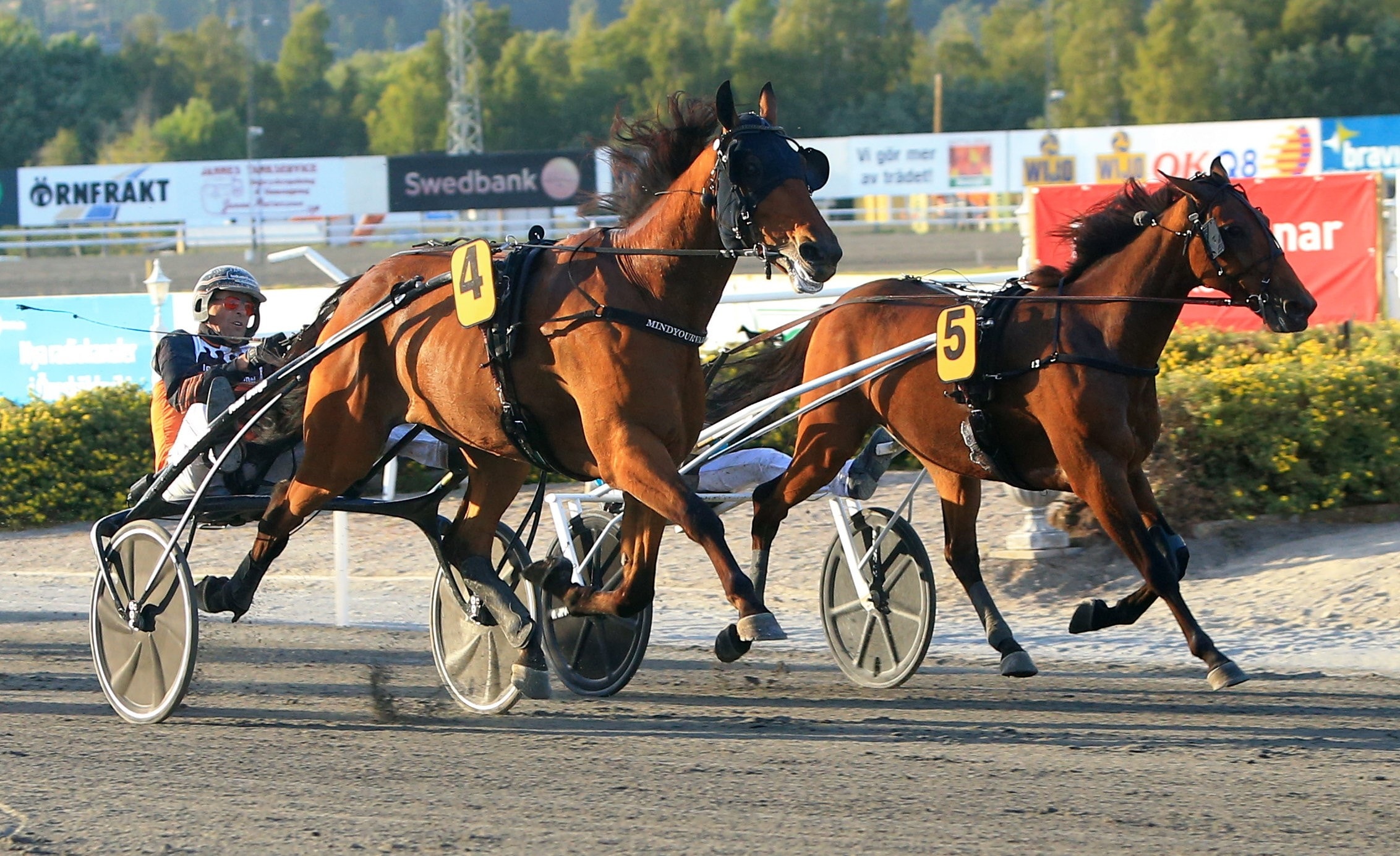 Urstark Mindyourvalue