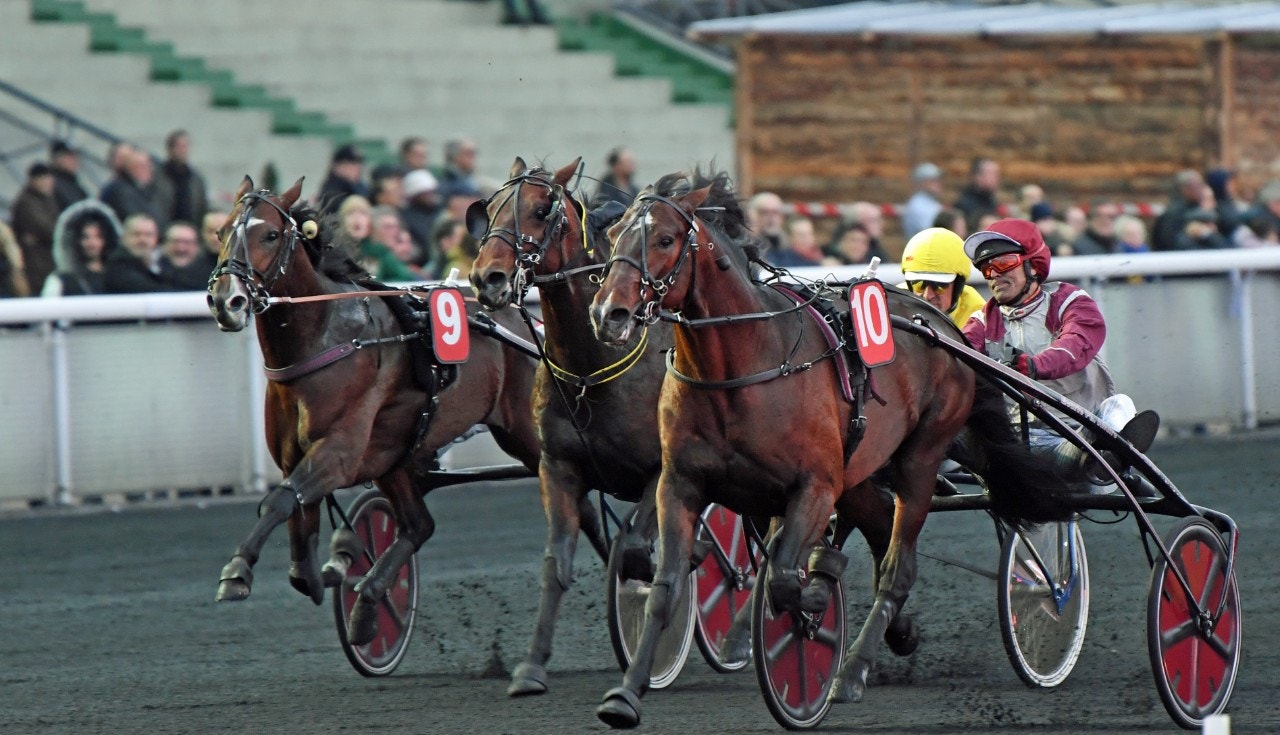 Gotland lämnade ett fint besked som vinnare i Prix Abel Bassigny. Foto: Gerard Forni, Scoop Dyga