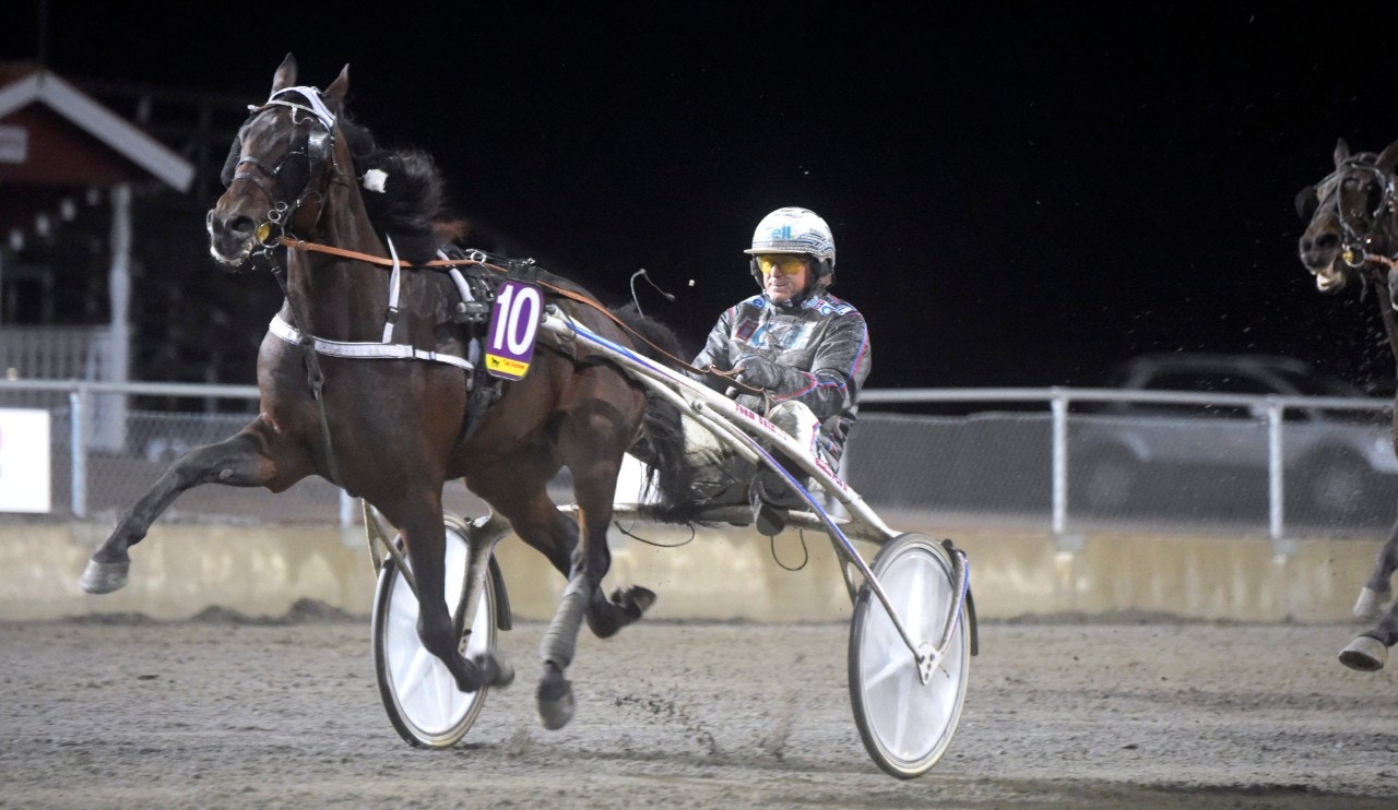 Tips Bollnäs 7 augusti: Zinco Jet är kvällens hetaste