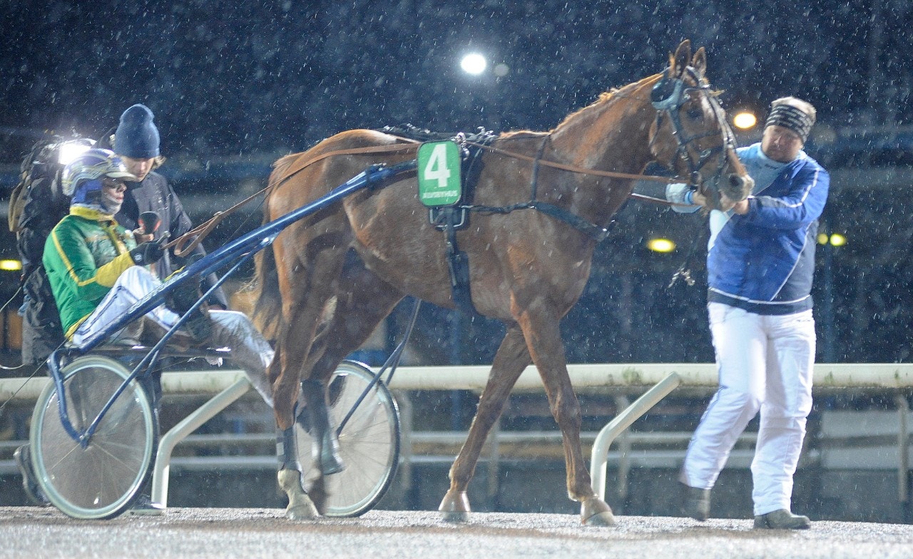 Jägersro/Solvalla 18 mars: Volare Gar känns riktigt het!