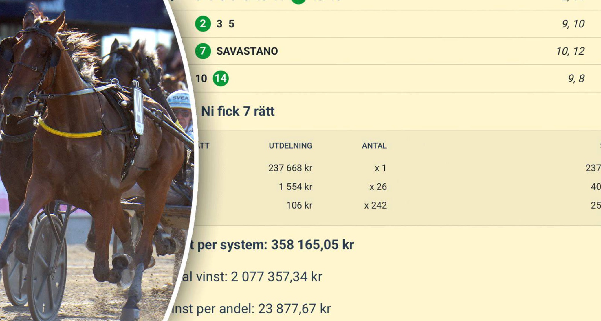 Miljonregn över Travnets experter på Elitloppshelgen