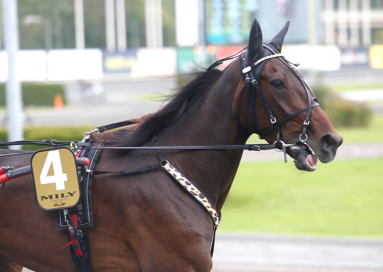 Axevalla: Mily lysande i Bergh-debuten