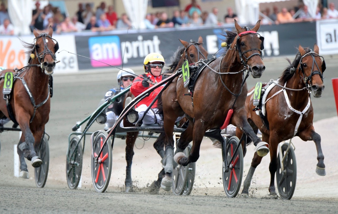 Bold Eagle ska turnera i Kanada till hösten. Foto: Martin Langels, ALN