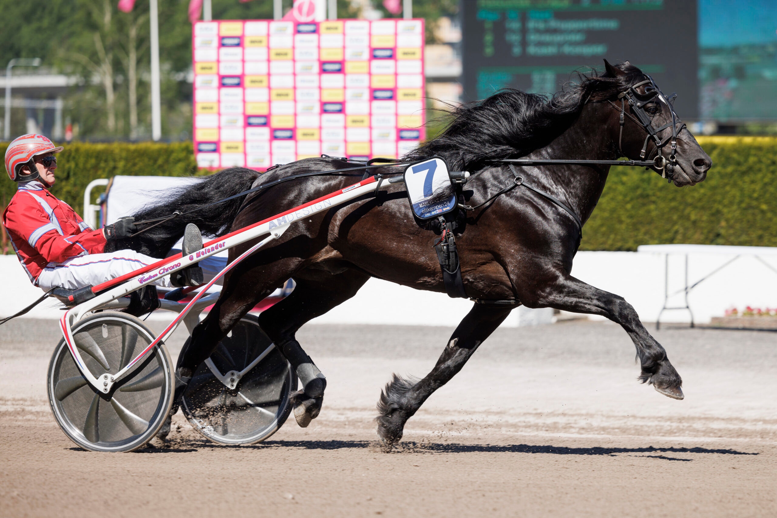 Foto: Lena Emmoth/TR Bild