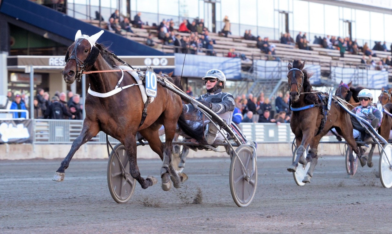 Zolly provar ett annorlunda upplägg. Foto: ALN