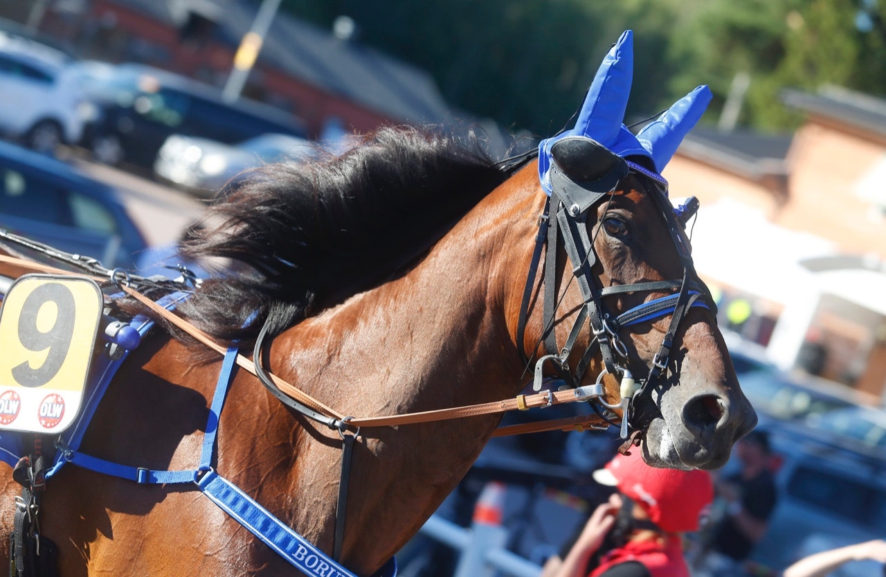 Ingen lycka för svenskarna i Prix Lalique
