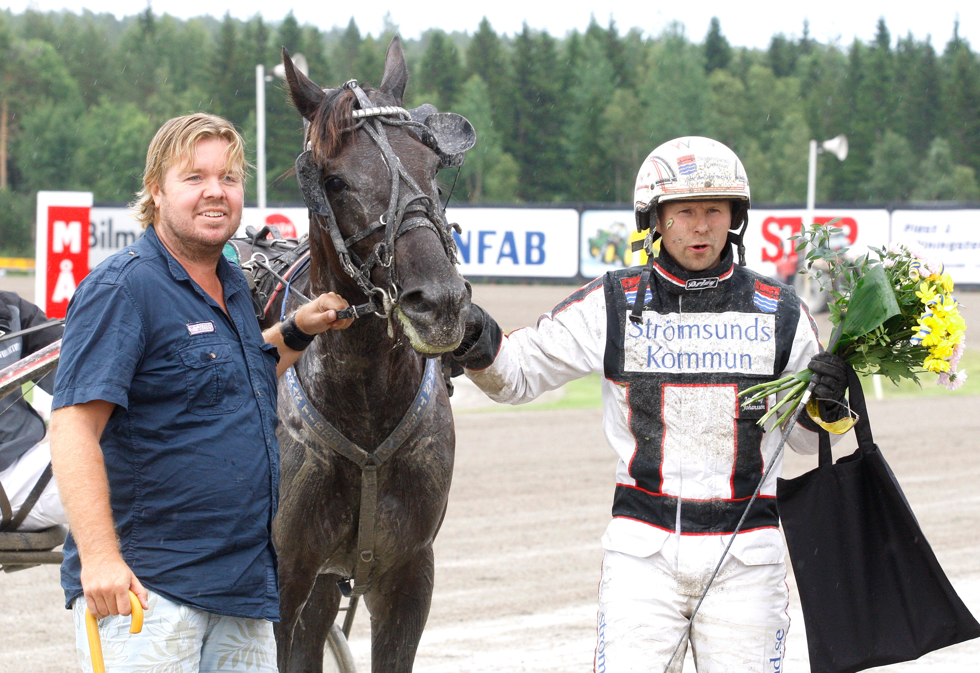 Brolins nya travhästar – jakten på framgången