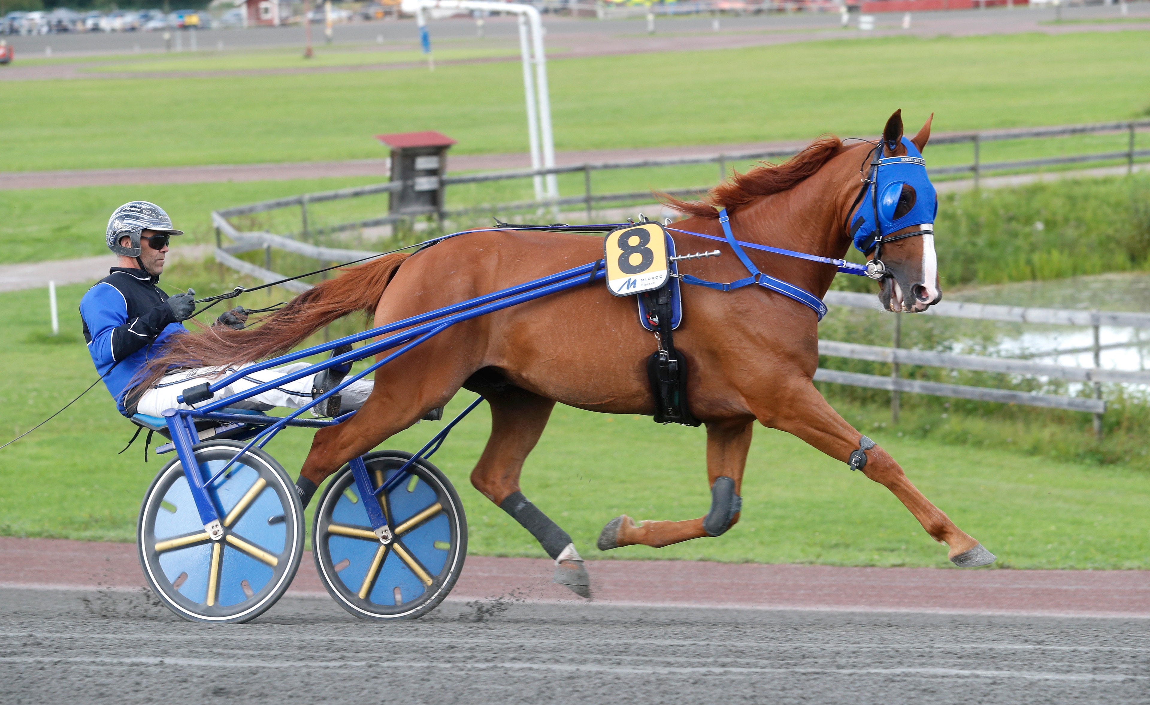 Tvåa i Sweden Cup – byter regi