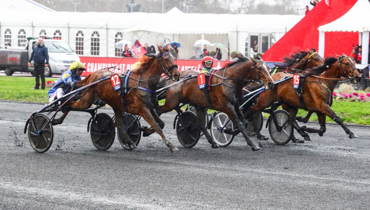 Läget inför Prix d'Amérique