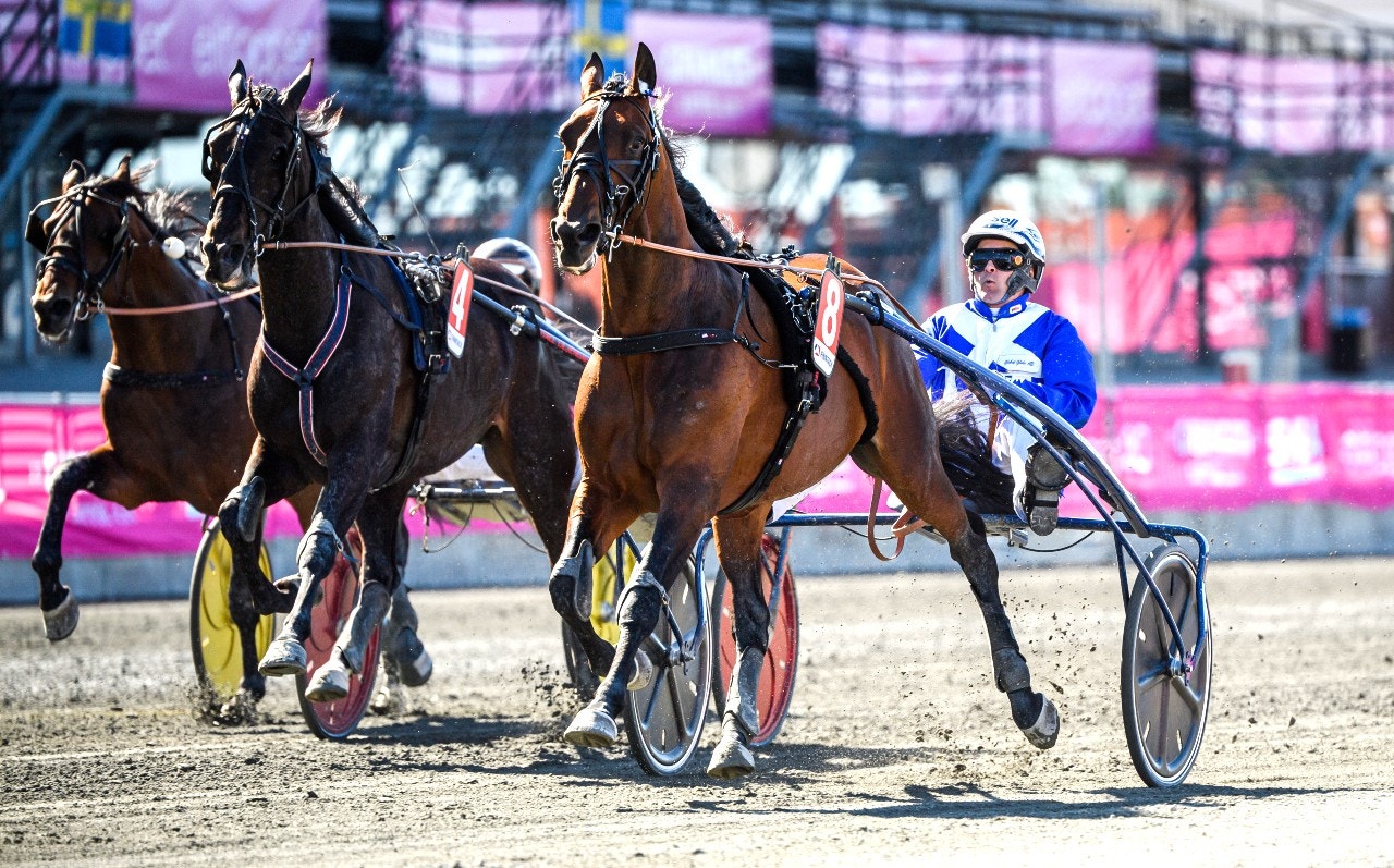 Ecurie D. möter ett riktigt starkt fyraåringsgäng när Solvalla Grand Prix avgörs. Foto: Simon Hastegård, Bildbyrån