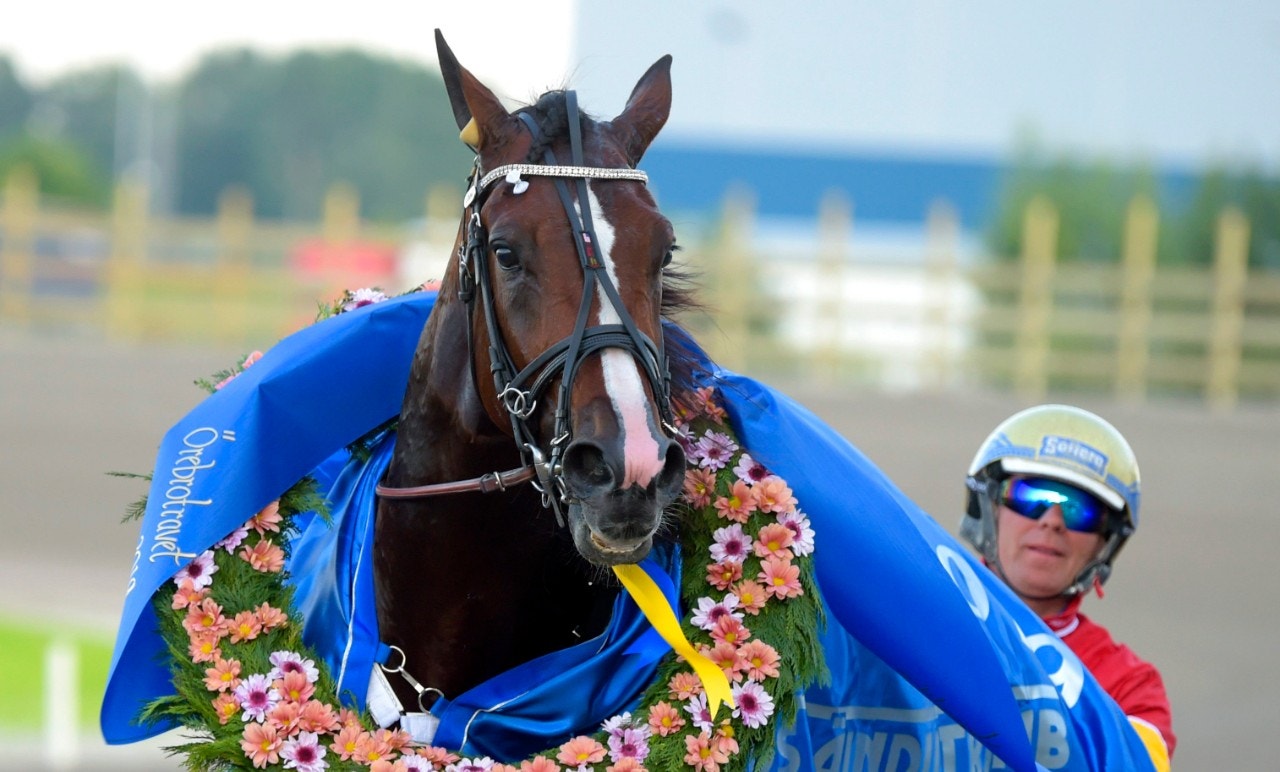 Fort Knox och Björn Goop efter segern i Juliloppet. Foto: Martin Langels, ALN