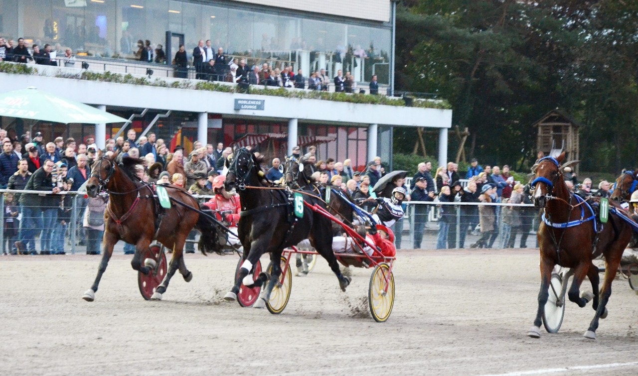 Cruzado dela Noche vinner Grosser Preis von Deutschland 2016. I år blir loppet inställt. Foto: Leif Norberg, ALN