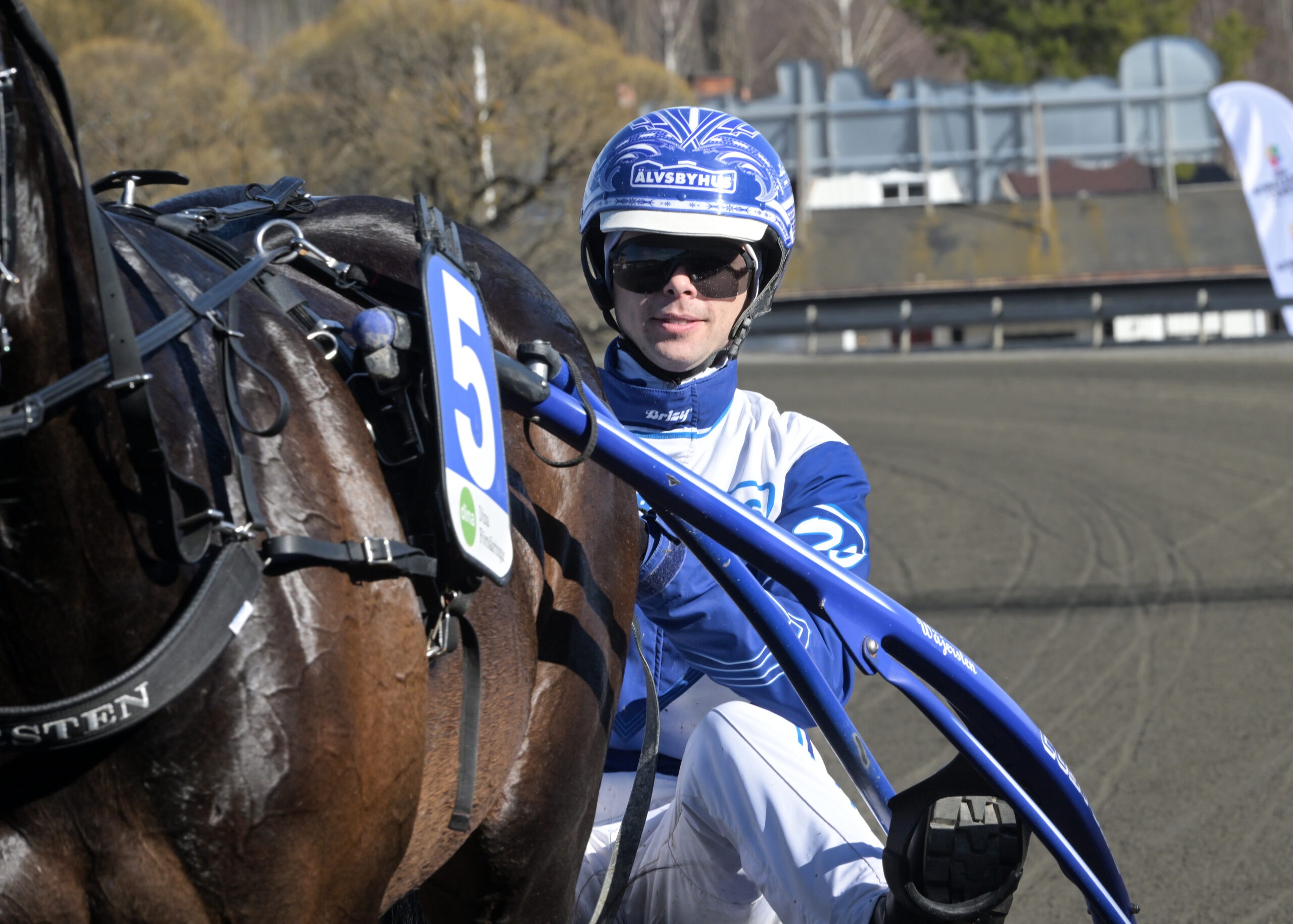 Inför V75: Favoritkollen Great Skills