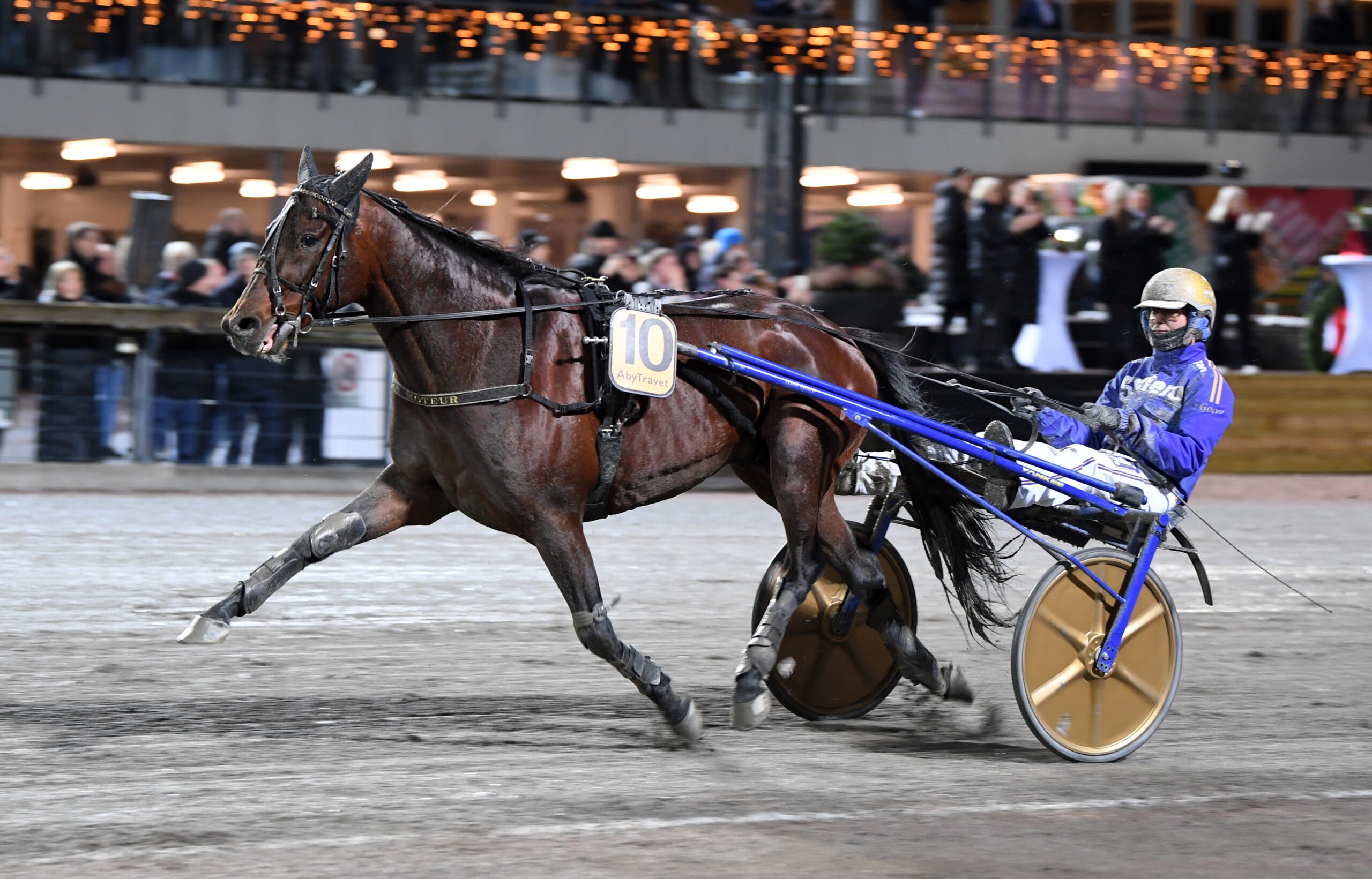 Foto: Malin Albinsson/TR Bild