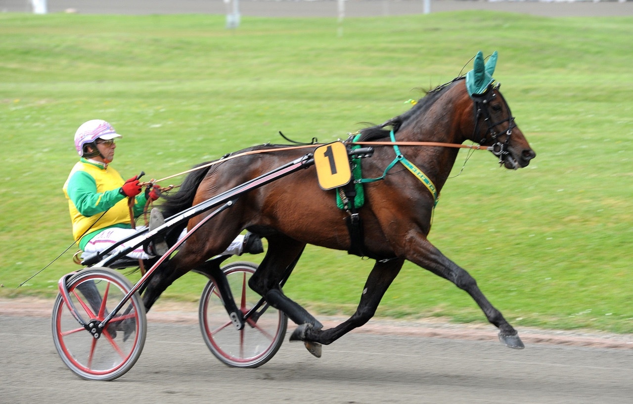 Tony Gio skrällde till rejält i Prix Chambon P - Foto: ALN