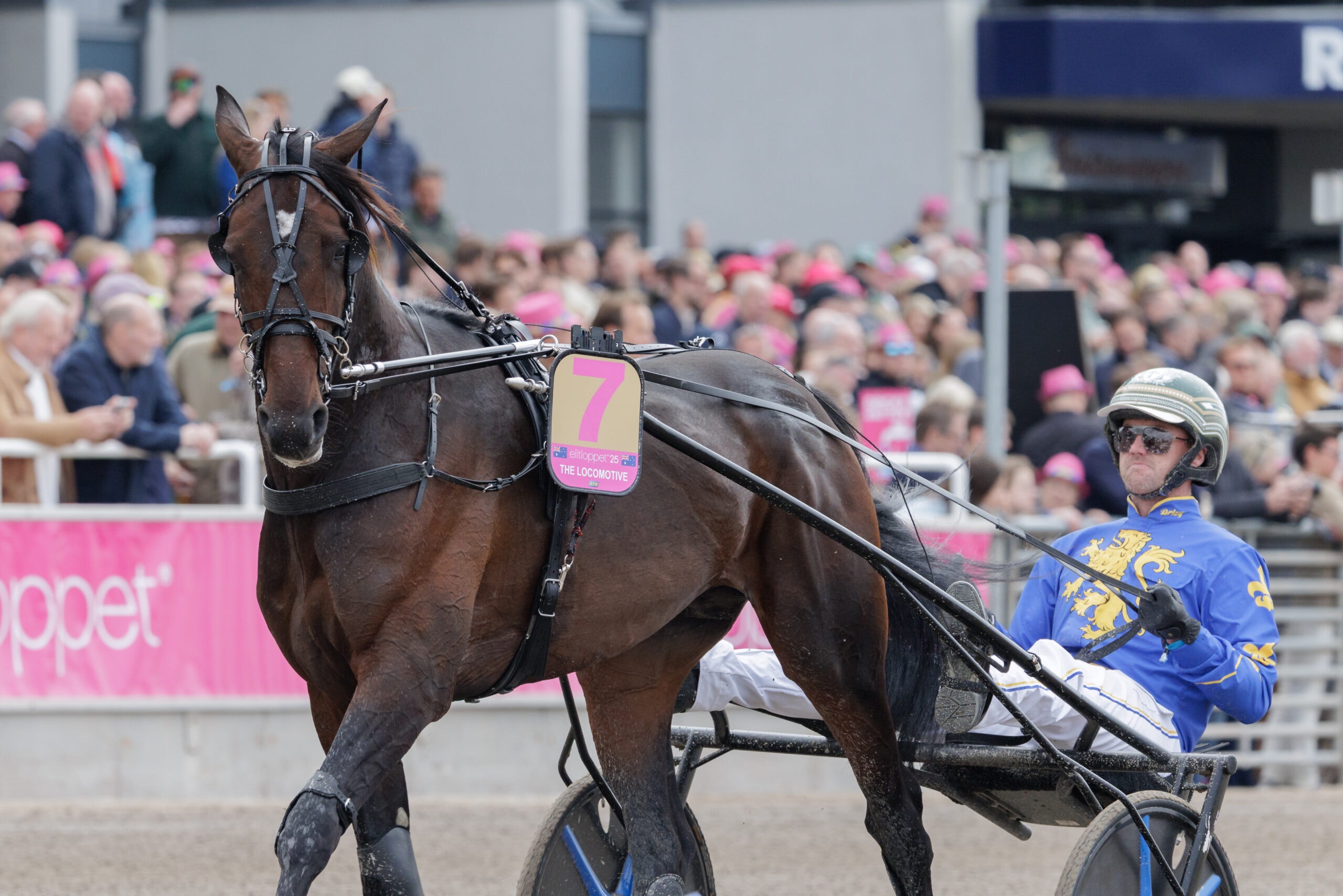Foto: Lars Jakobsson/TR Bild