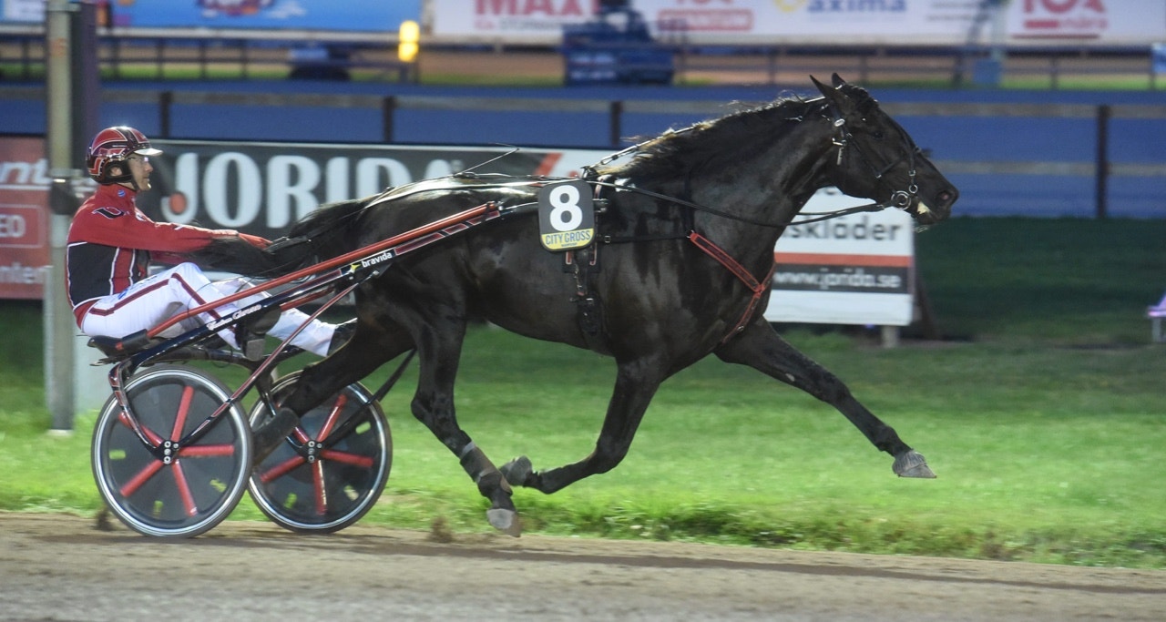 Guzz Mearas övertygade