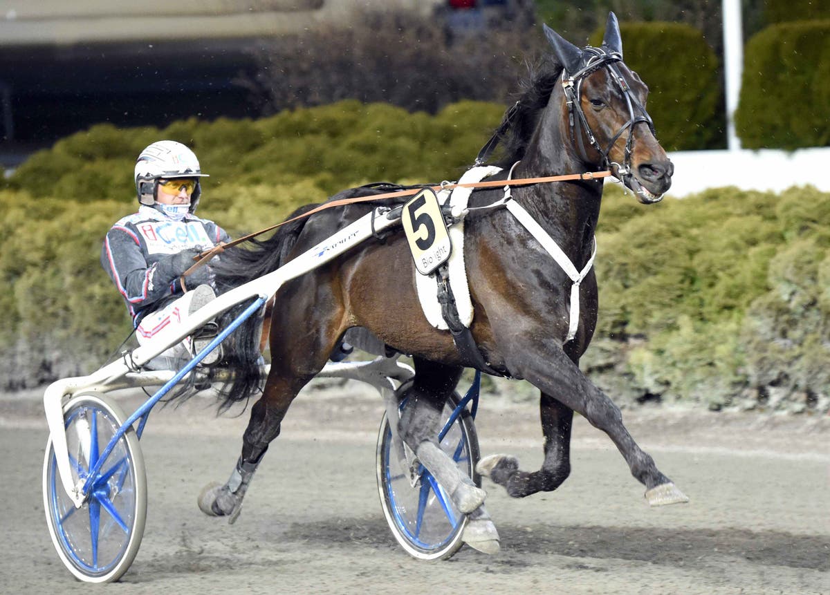 (87473) Foto: Martin Langels/ALNSolvalla 20170419