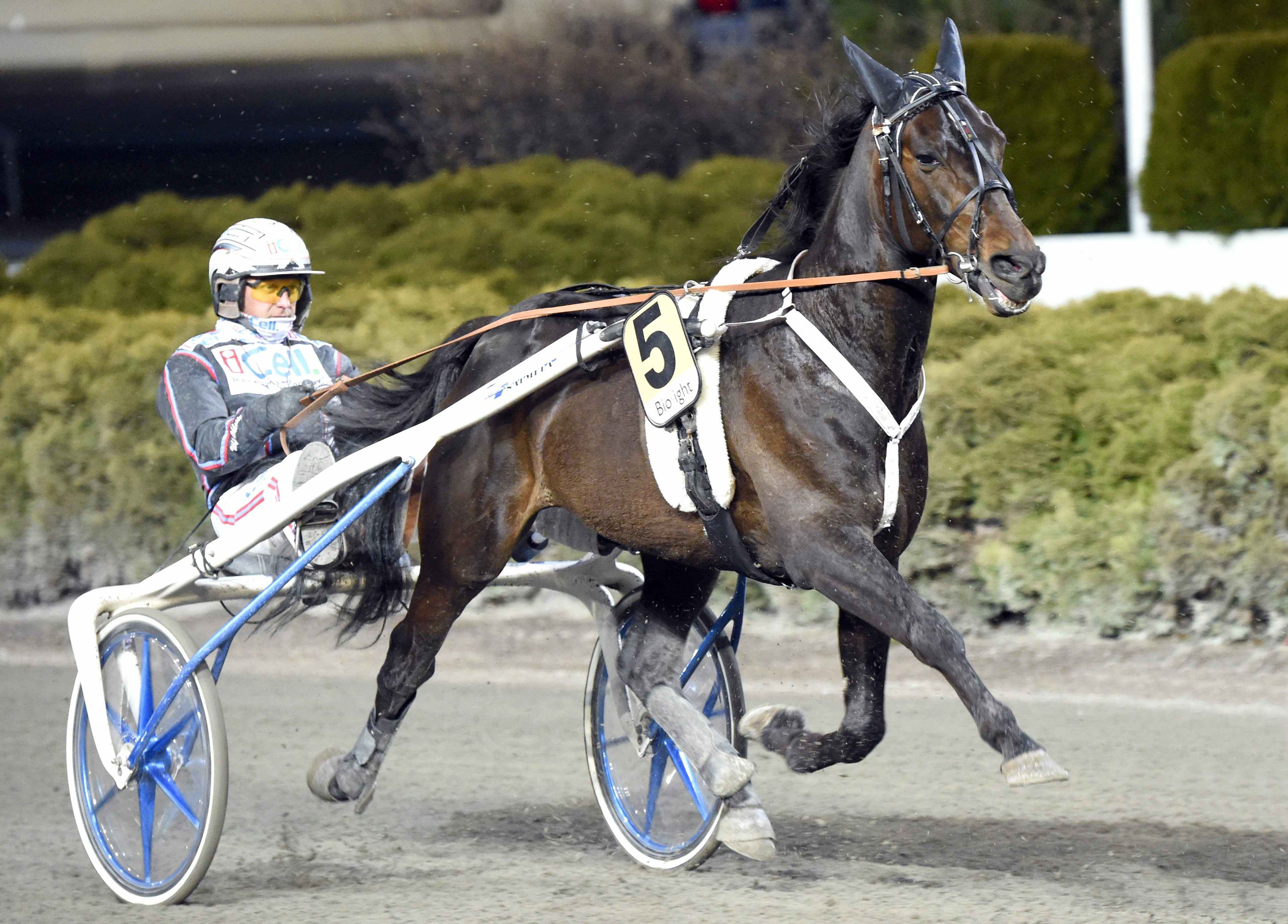 NSP: Wild cards till Dante Boko och Makethemark