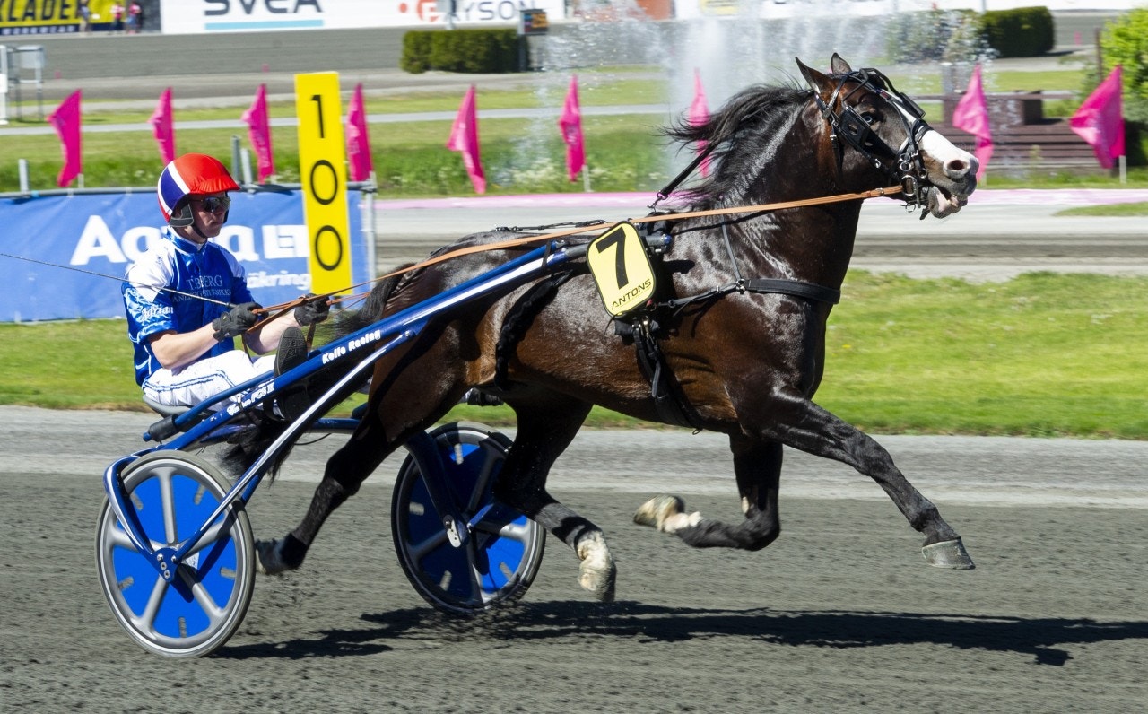 Bergsåker/Solvalla 18 november: Högintressant direkt i ny regi!