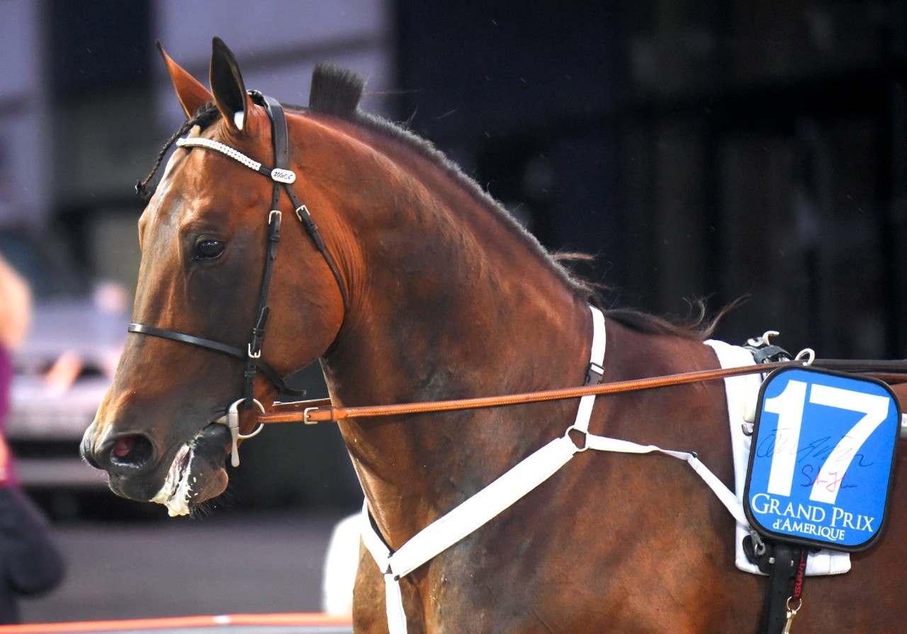 Auktion: 1,8 miljoner för Maharajah-sonen