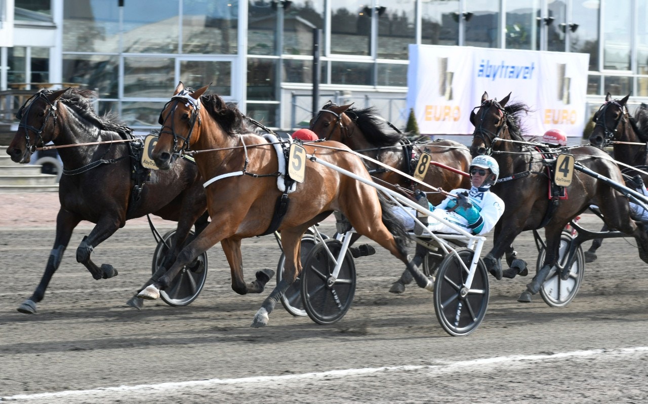 Vi tror Diana Zet har läget för en ny stor seger. Foto: Göran Lindskog, ALN