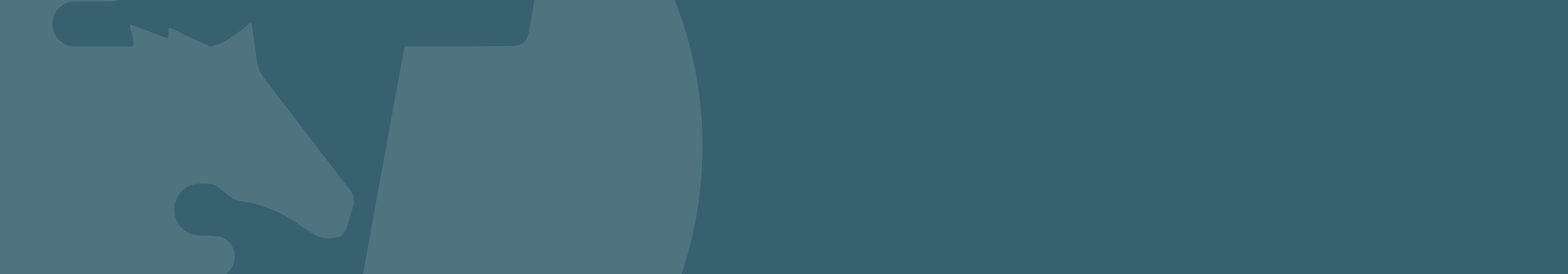 Bakgrund-hero-travnet