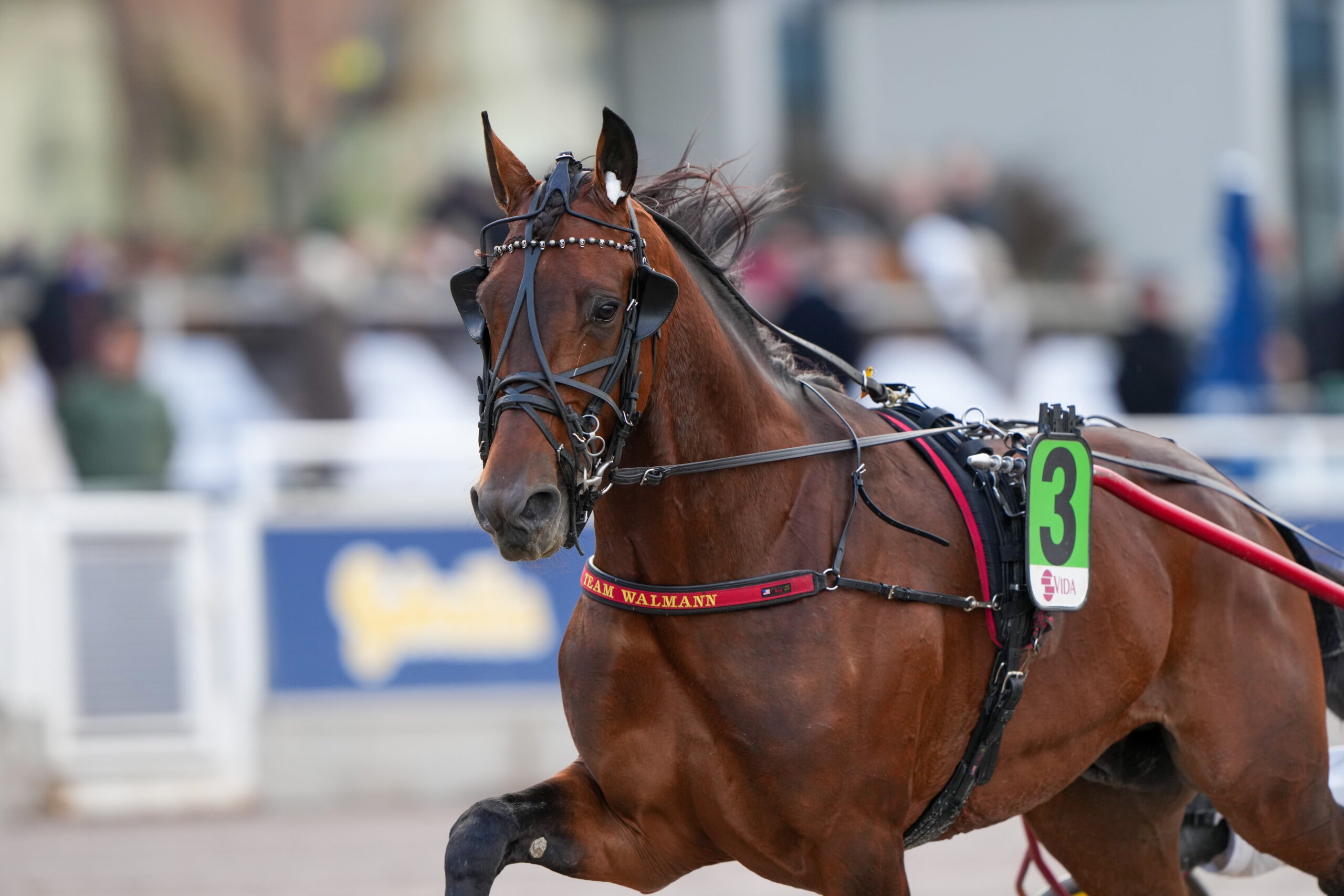 Foto: Tomas Blomqvist/TR Bild
