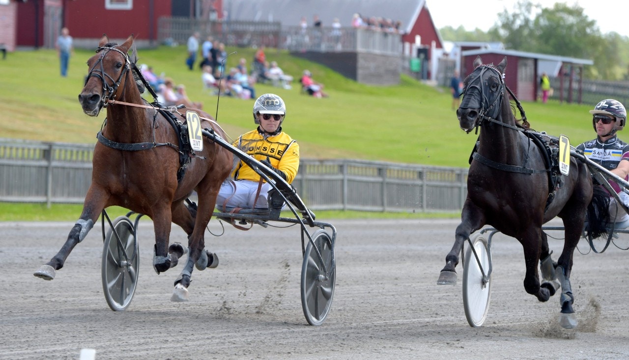 Tips Bollnäs 30 augusti: Game, set, match, Djokovic