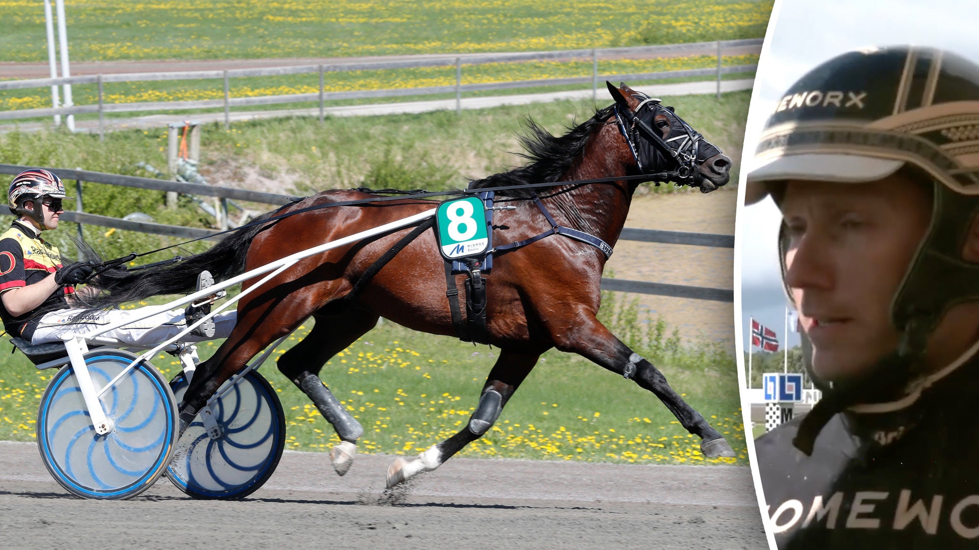 Sultan Sea till Martinsson