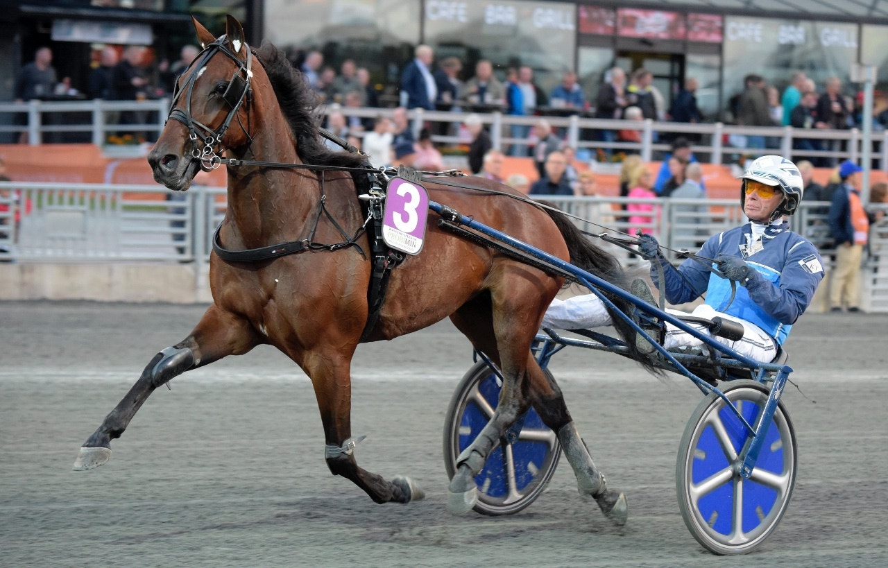 Calina trivdes på den Franska Rivieran - Foto: ALN