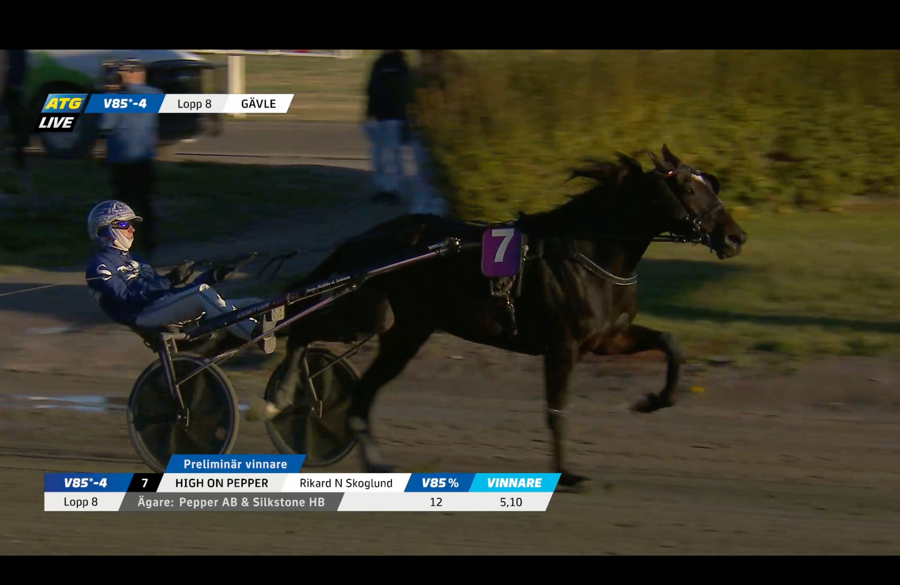 En mörk travhäst med startnummer 7 travar på en bana och drar en sulky med en kusk i blå dress och hjälm. Bilden är en tv-skärmdump från ATG Live med texten "High on Pepper" som preliminär vinnare i lopp 8 i Gävle.