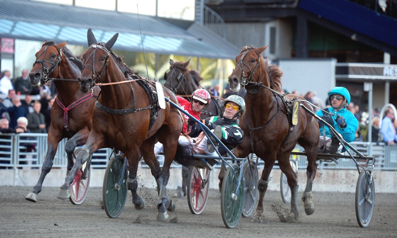 Tips Jägersro 1 september: Inti Boko - den stora utmanaren