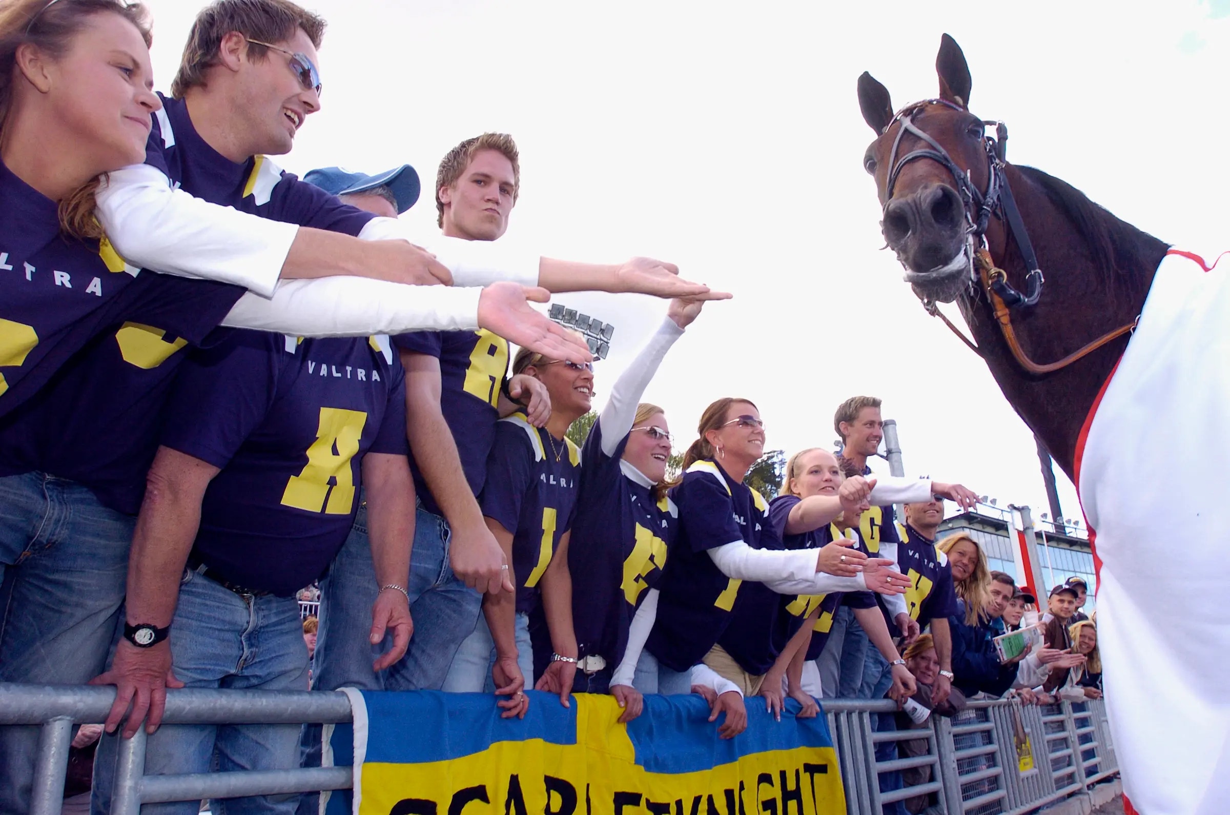 Scarlet Knight först ut på söndag