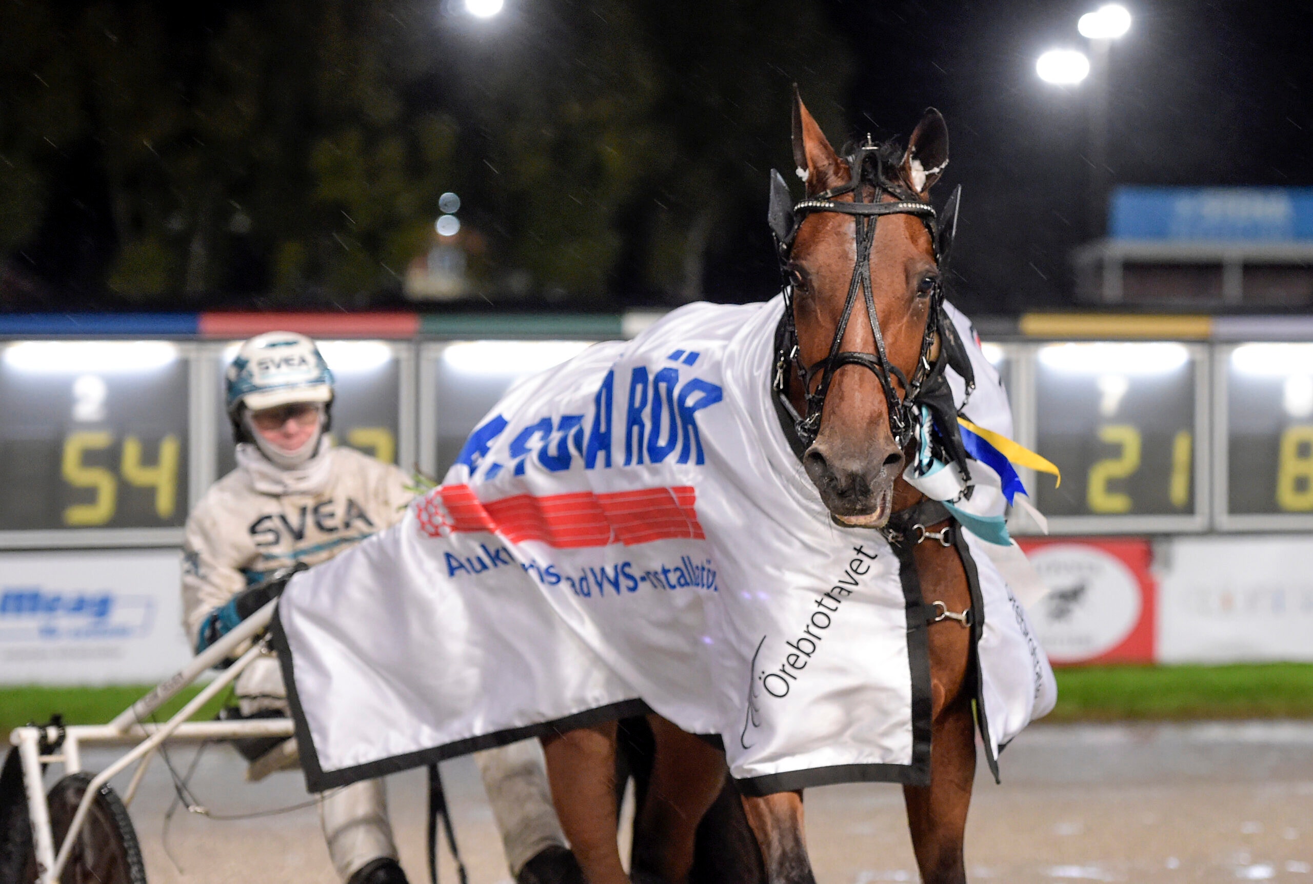 Foto: Lars Jakobsson, TR Bild