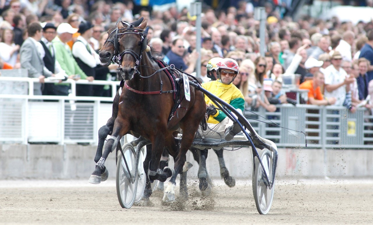Ilaria Jet på väg mot segern i Elitloppets försök 2010. Foto: Micke Gustafsson, ALN