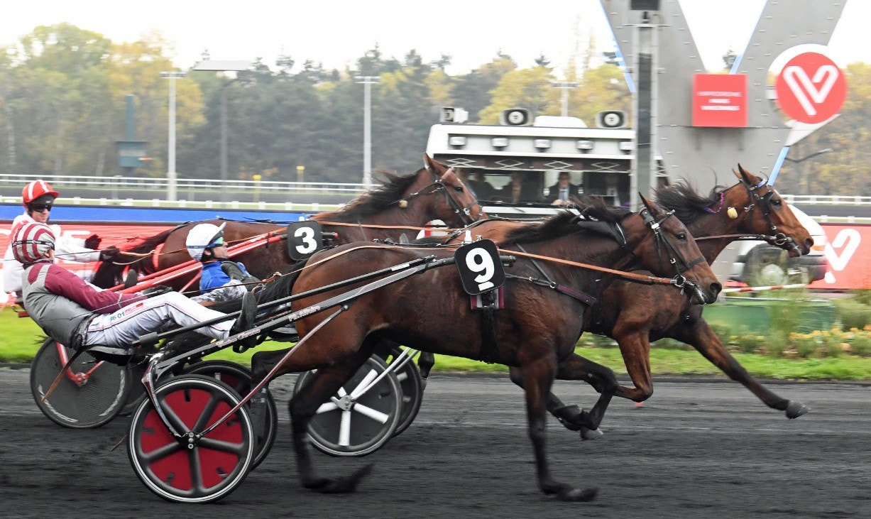Gotland vid en tidigare seger. Foto: Gerard Forni, Scoop Dyga