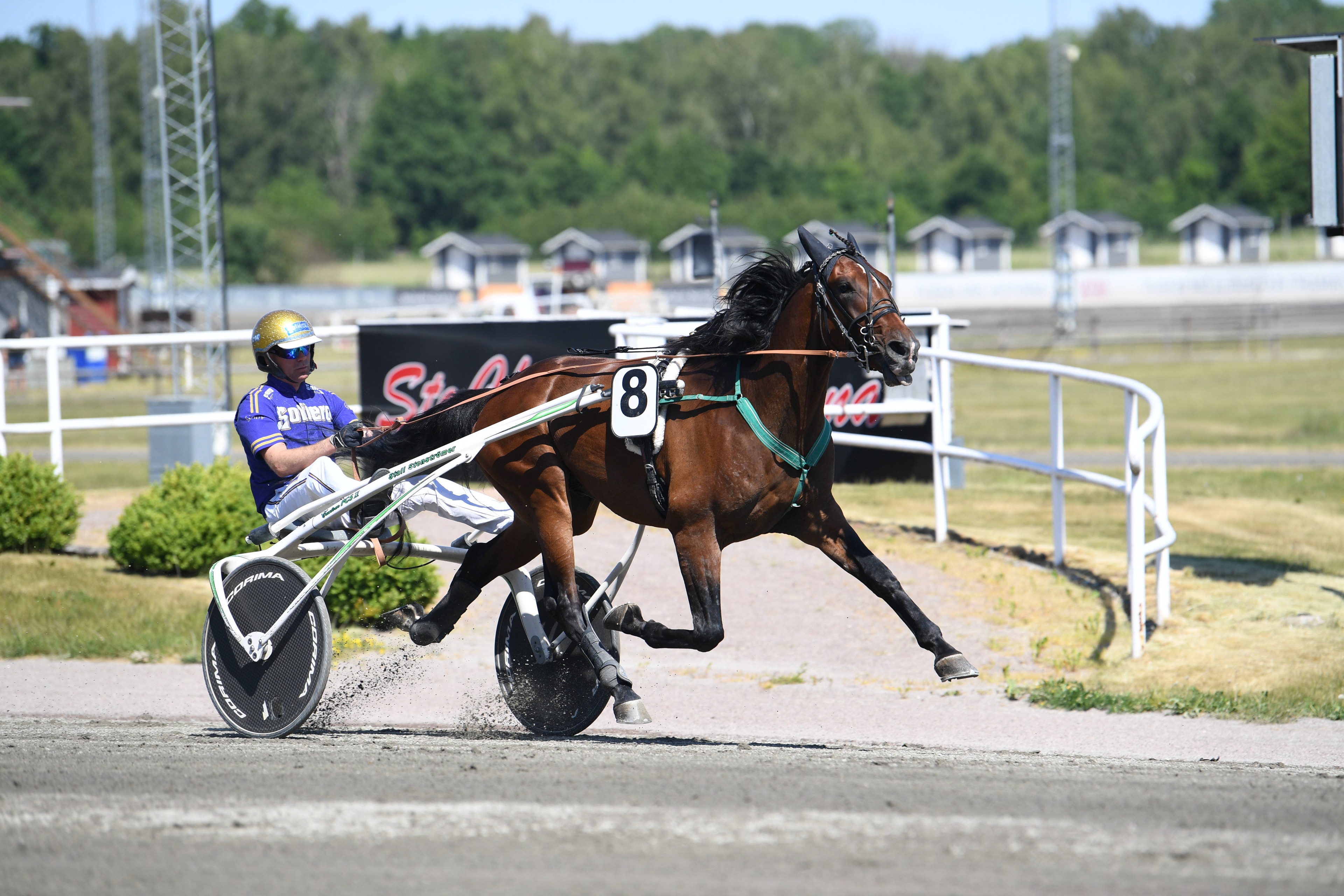 Stenströmers talang flyttas till succétränaren