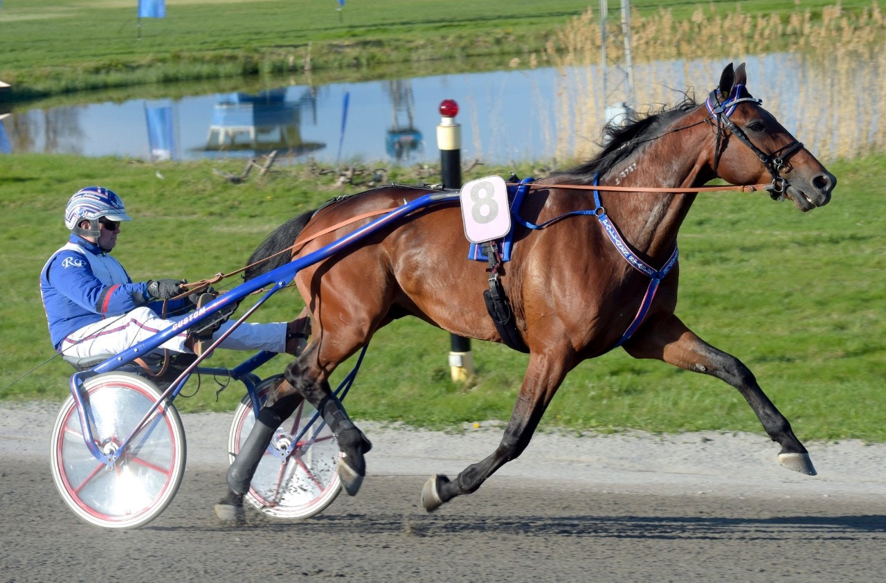 Västerbo Grosbois drar till Frankrike