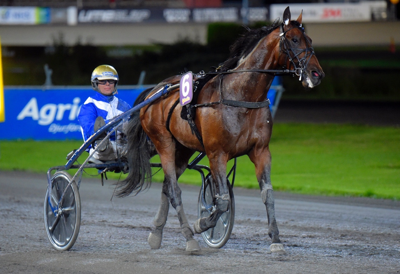Ecurie D. städade av i Axel Jensens Minneslopp - Foto: ALN