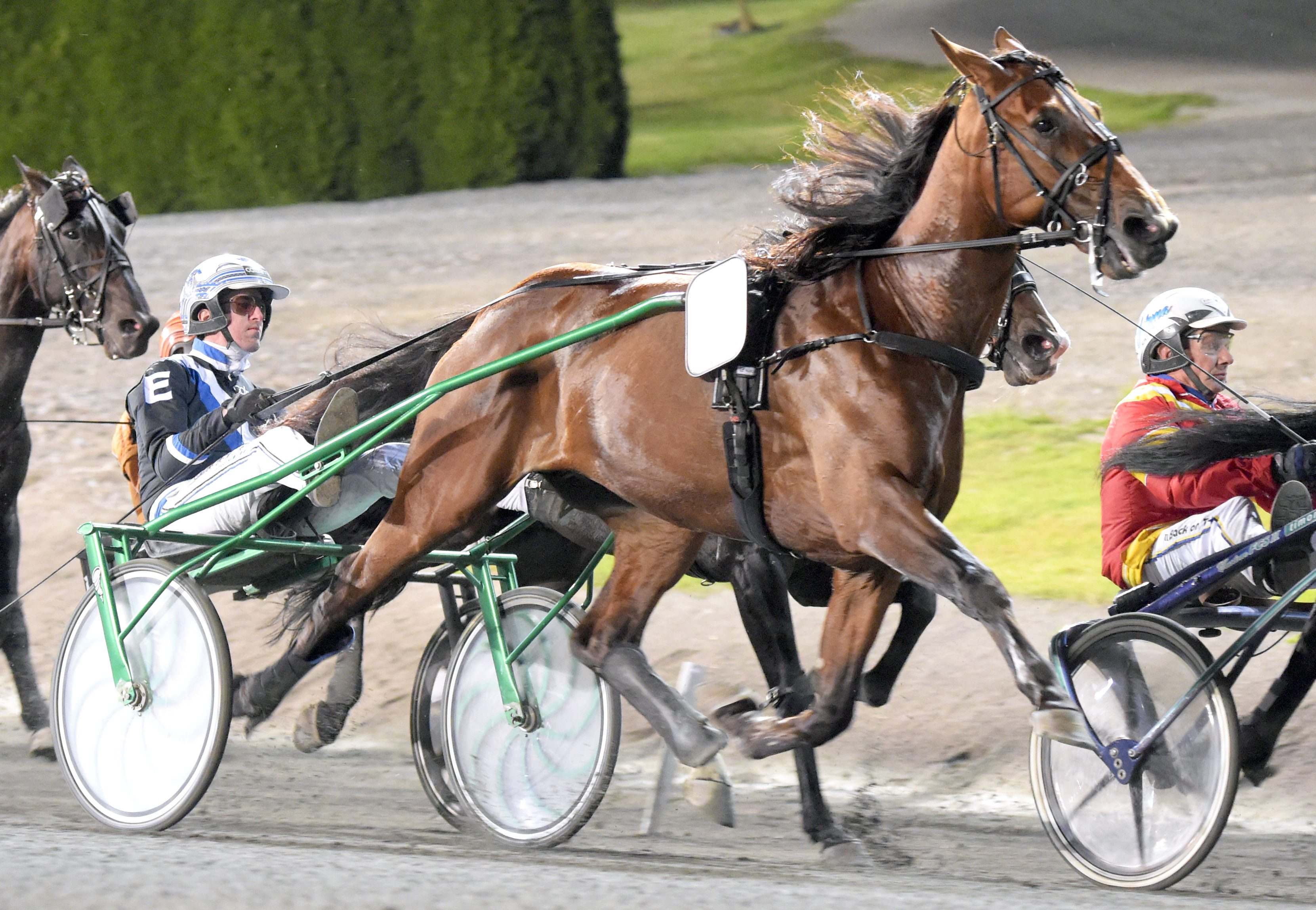 Lottat och klart i årets upplaga av Oslo Grand Prix