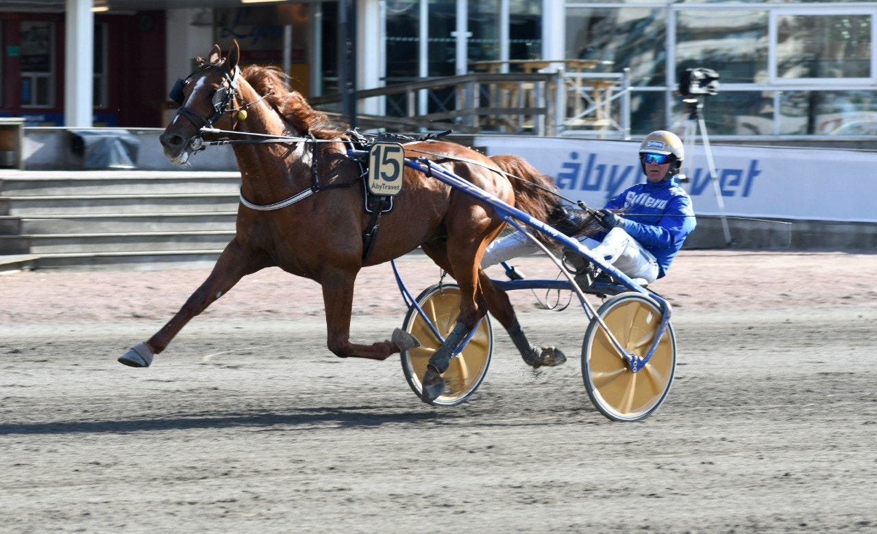 Moni Viking imponerade stort på Åby. Tar han hem Harper Hanovers också? Foto: Göran Lindskog, Sidmakarn/ALN
