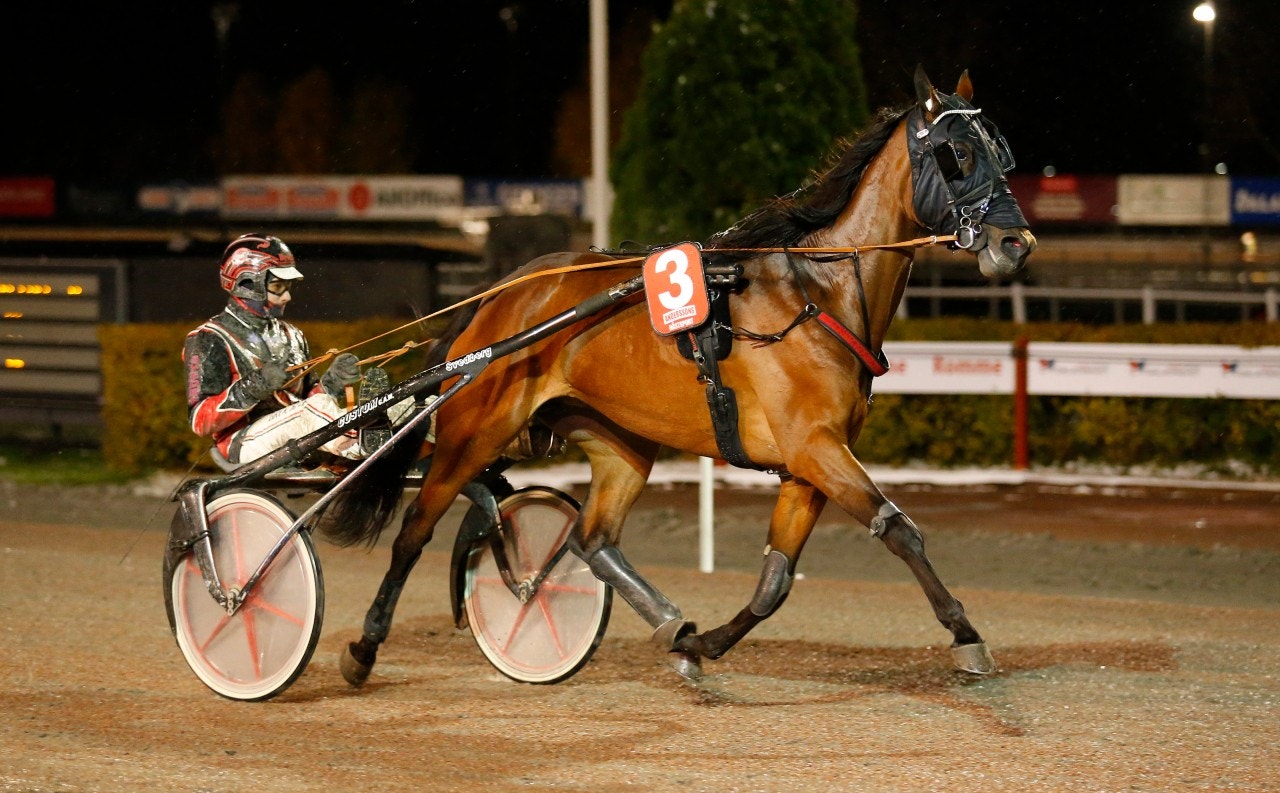 Annie Flame har bra chans att leda runt om. Foto: Hanold, ALN