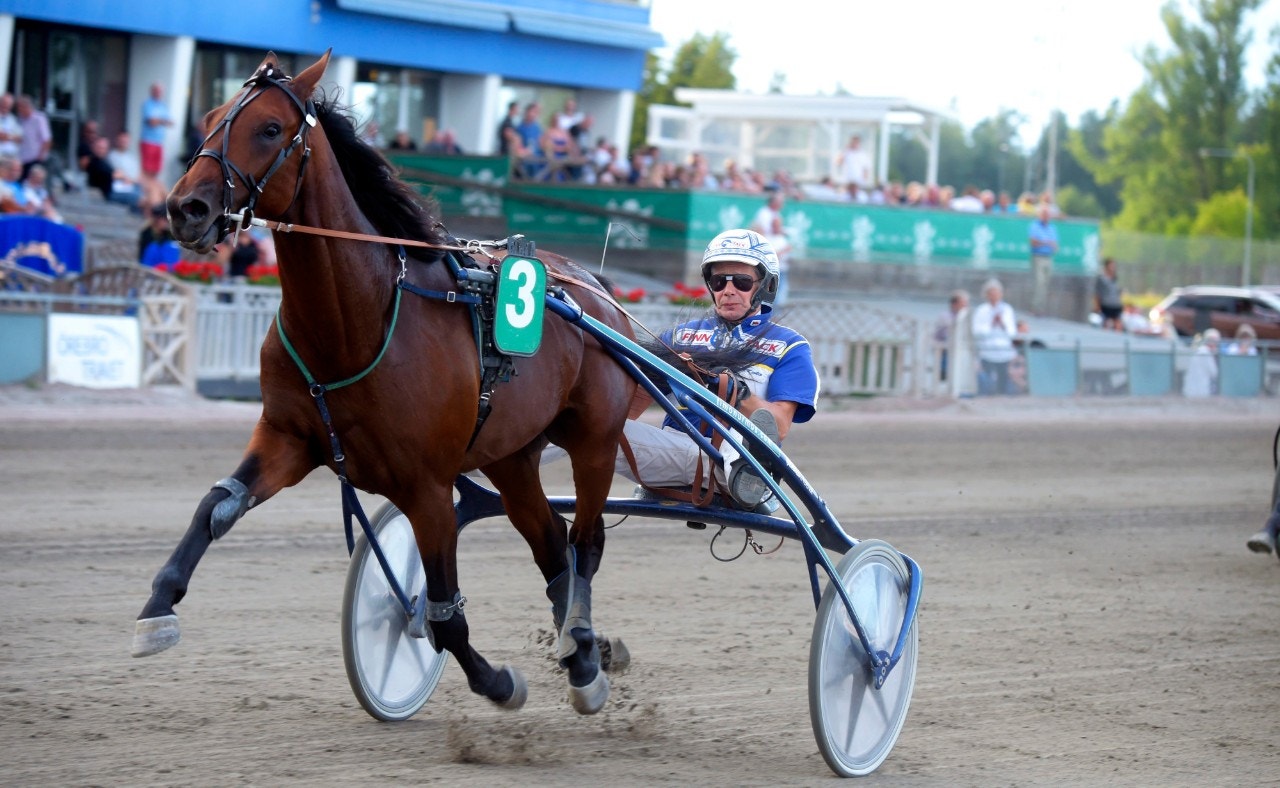 Marrakesh är med i uttagningarna till finska Derbyt. Foto: Martin Langels, ALN