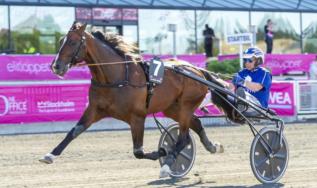 Hästarna som gör upp i Ulf Thoresen Grand International