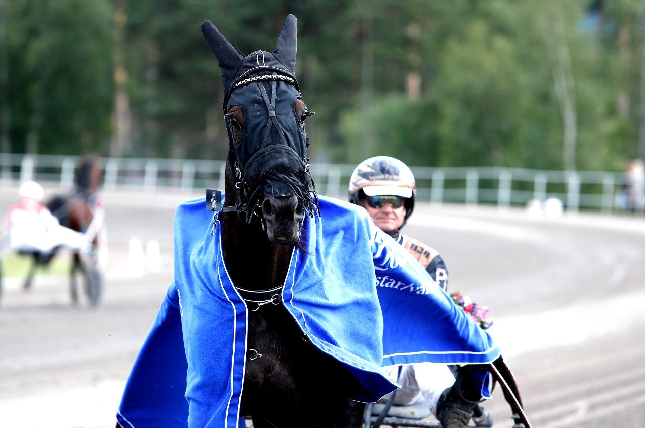 Fortune Mearas gör intressant comeback i ny regi. Foto: Micke Gustafsson, ALN