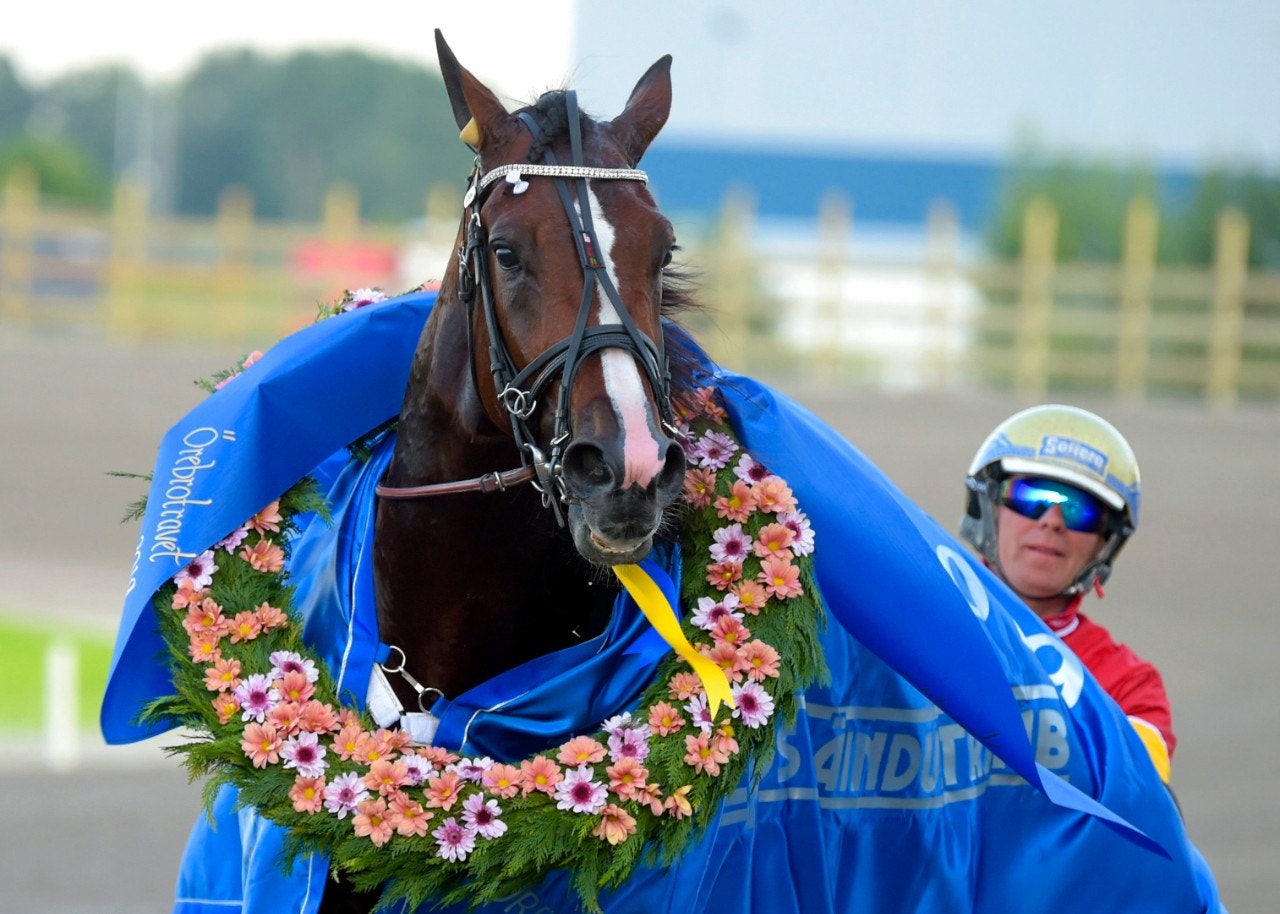 Bythebook möter Fort Knox på Solvalla